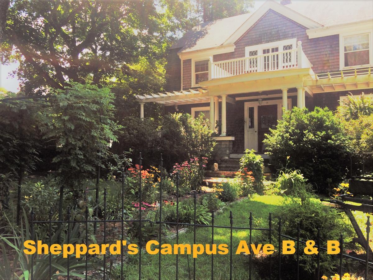 Sheppard'S Campus B&B Kingston Buitenkant foto